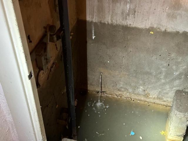 IMG-20230817-WA0025 groß.jpg